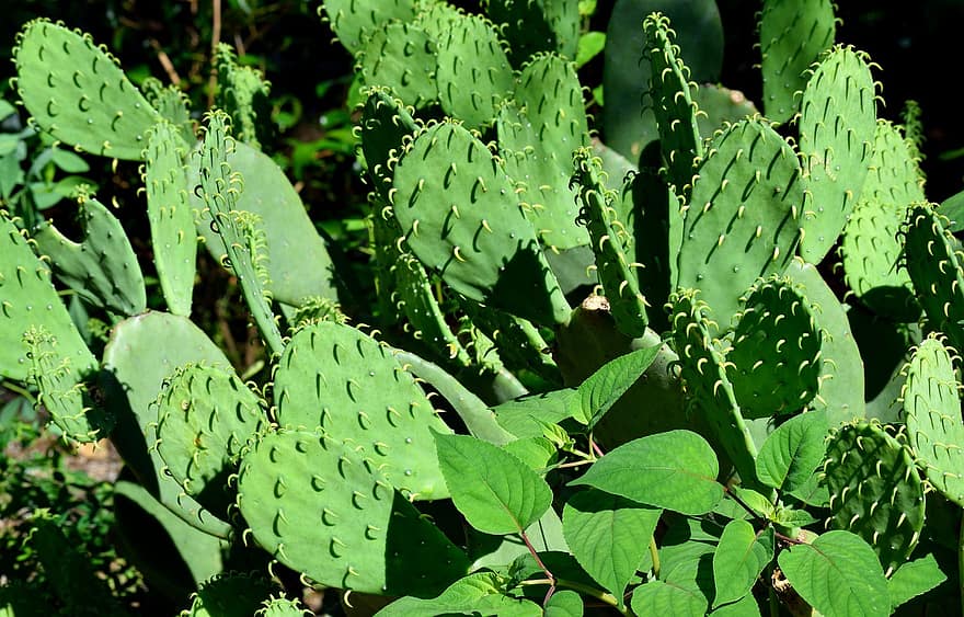 البيئة الحياتية by ayaslama - Ourboox.com