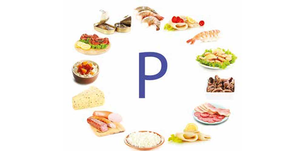 Біологічне значення металічних і неметалічних елементів by Oksana - Ourboox.com