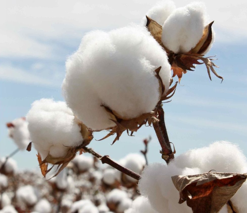 Волокна by Gorshkova Valentina - Illustrated by Викладач хімії ДНЗ БЦПТО Запорізької області - Ourboox.com