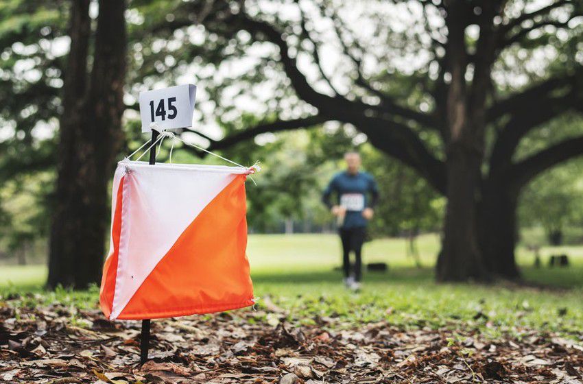 orienteering by Marta Fina - Illustrated by Marta Fina, Silvia Amato, Leonardo Favara, Daria Conticelli, Giada Panicola - Ourboox.com