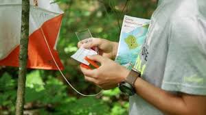 orienteering by Marta Fina - Illustrated by Marta Fina, Silvia Amato, Leonardo Favara, Daria Conticelli, Giada Panicola - Ourboox.com