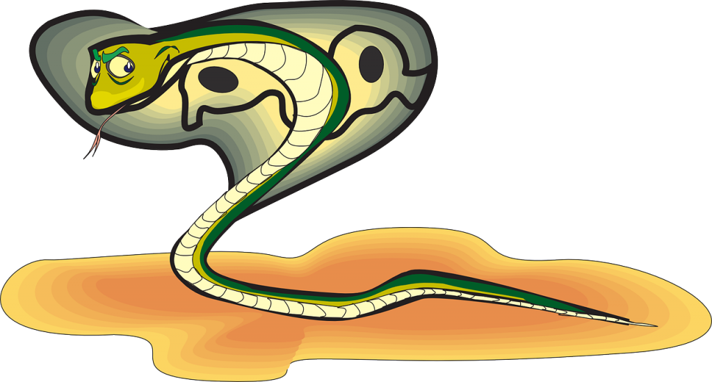 what if i was by eliana and hallel - Ourboox.com