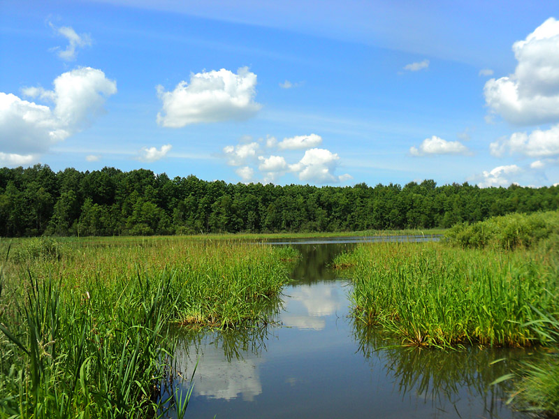 Життя і творчість Лесі Українки Фотоальбом by Movchan Olena Mikolayivna - Illustrated by викладач ДНЗ "Василівський профліцей" - Ourboox.com
