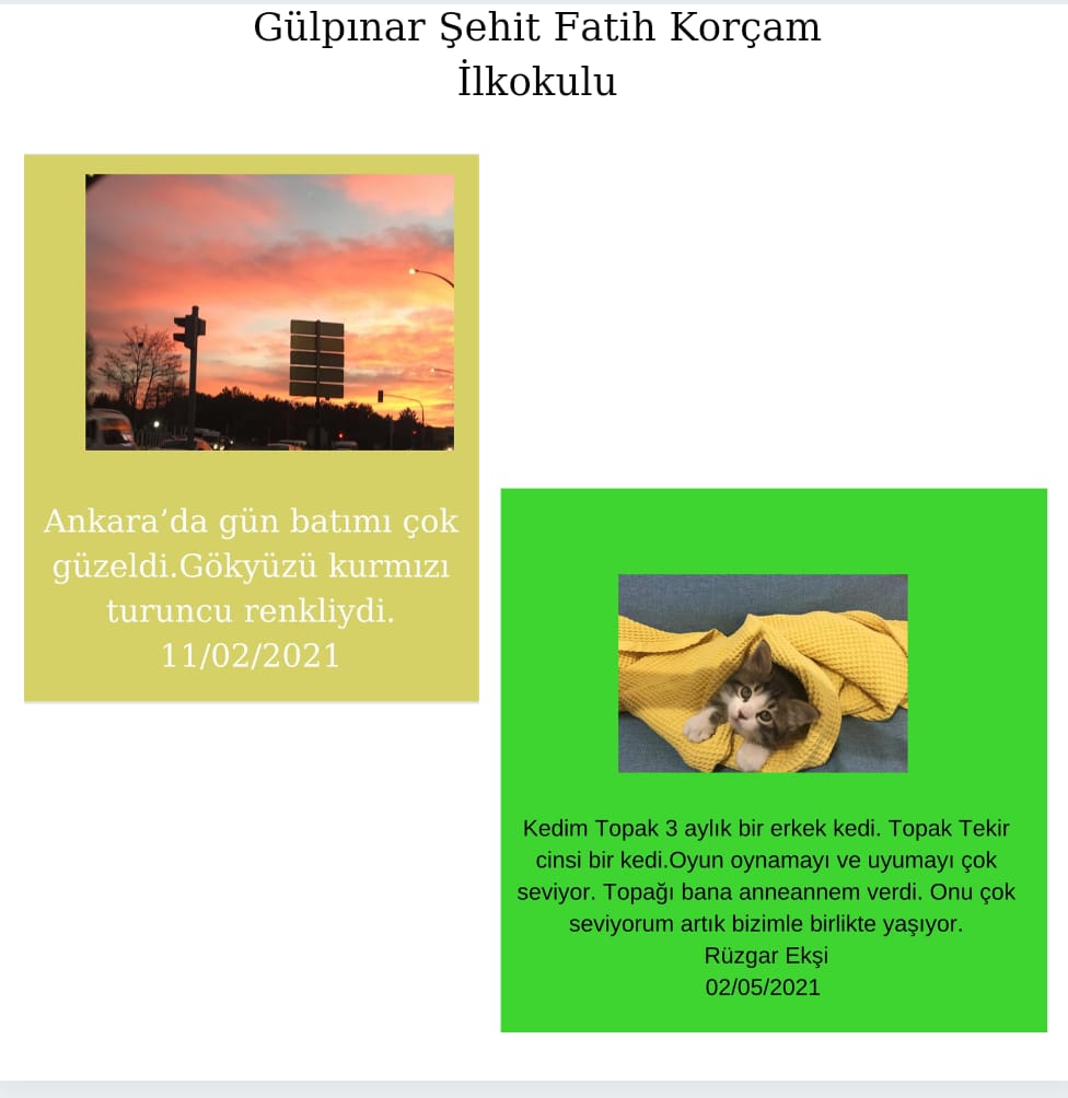 DOĞA GÜNLÜKLERİ by Sevinç KARADAĞ - Fatma ÜZALP - Ourboox.com