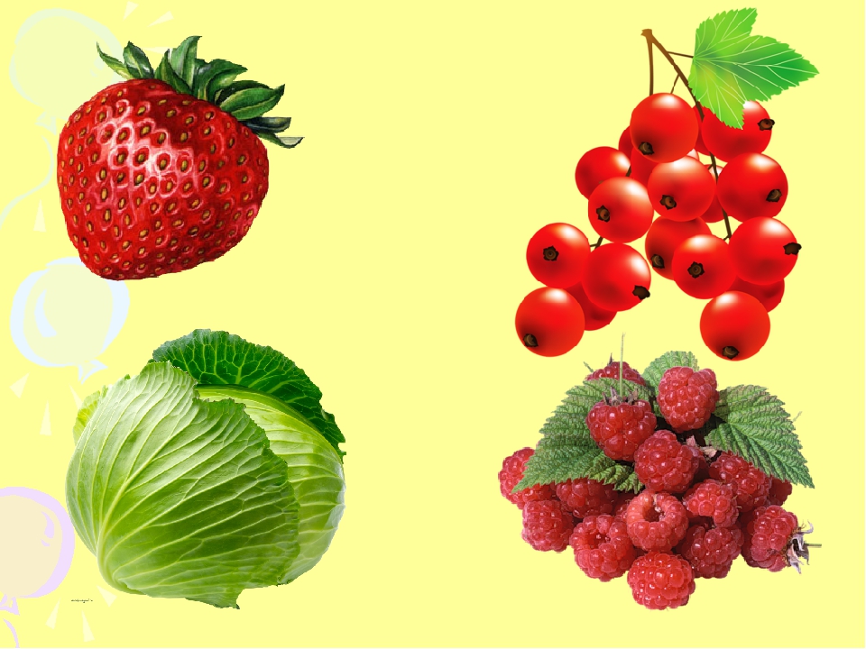 Поговоримо про пори року by Nadiya Martinyk - Illustrated by Надія Мартинюк - Ourboox.com