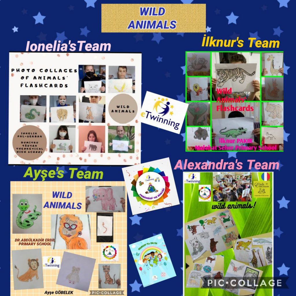 ANIMALS’ WORLD by Ayşe Göbelek - Illustrated by Ayşe GÖBELEK - Ourboox.com