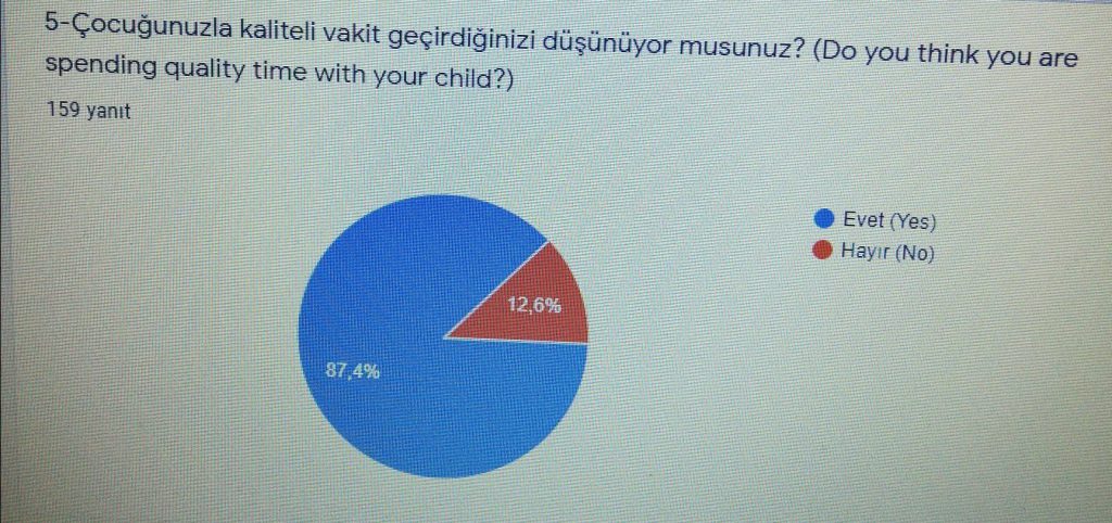 SURVEY by Rahşan Gedikli - Ourboox.com