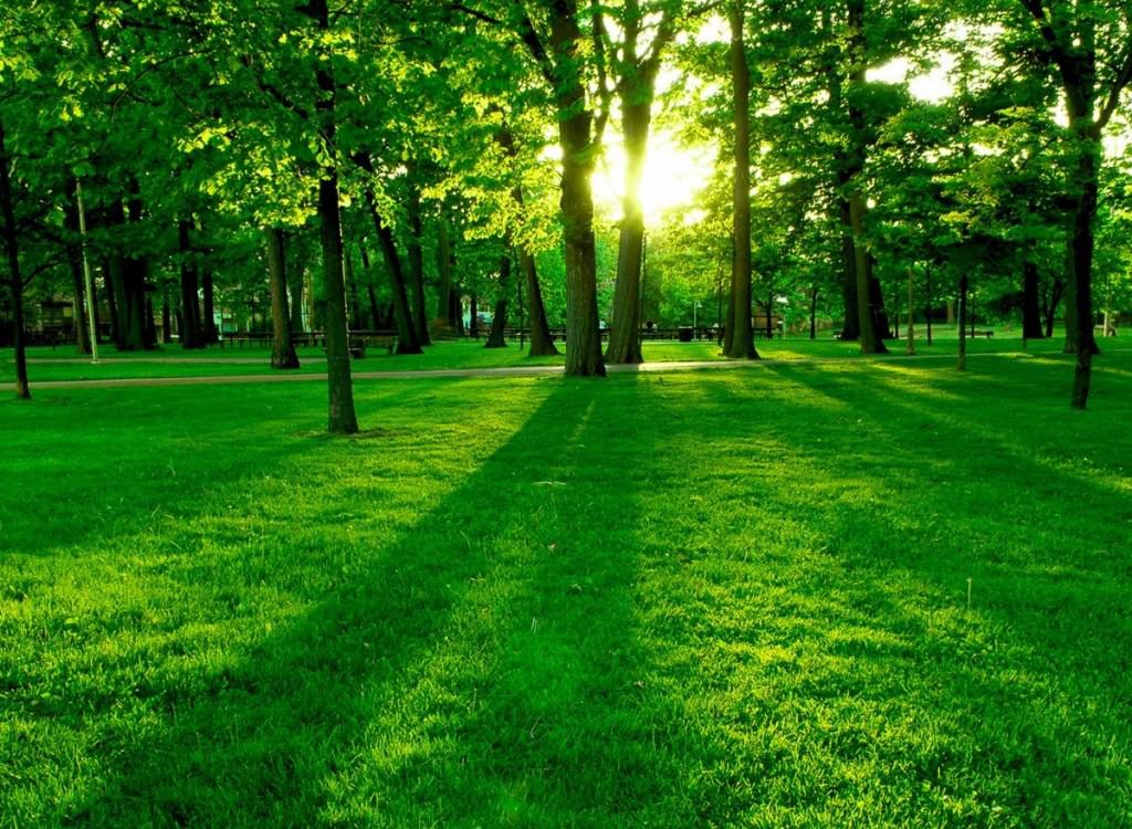 البيئة الحياتية by ayaslama - Ourboox.com