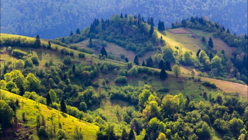 Карпати by vadimmka - Illustrated by Гавдьо Вадим - Ourboox.com