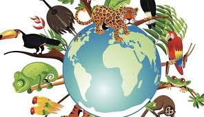 البيئة الحياتية by ahmad - Illustrated by احمد ابوريا - Ourboox.com