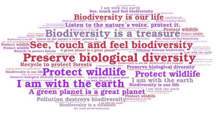 MAY E -BOOK by Tuğba KIR - Ourboox.com