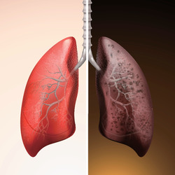 La sana alimentazione e i rischi del fumo by Flavia Di Caprio - Ourboox.com