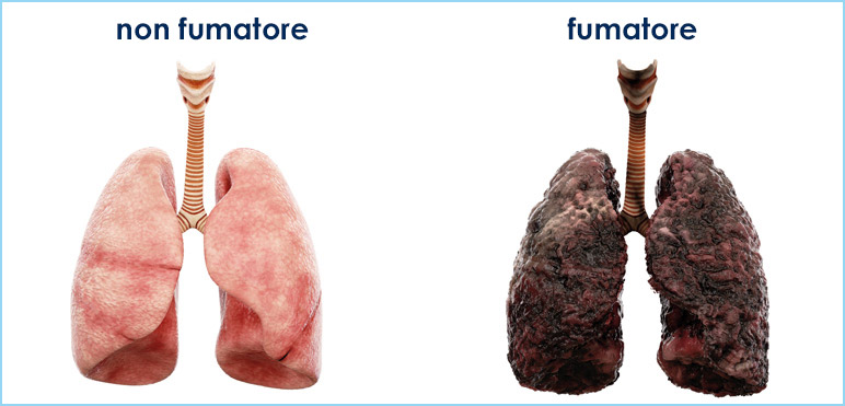 Se sano vuoi campare… frutta e verdura devi mangiare! by Chiara - Ourboox.com