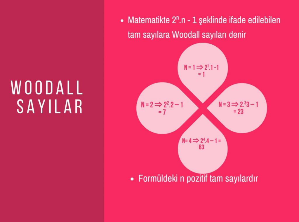 MATEMATİK SAYILARI-ZİHİN HARITALARI by ayşe yonucuoğlu - Ourboox.com