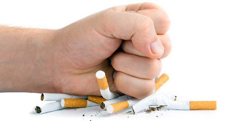 Mangia sano! by sara marra - Illustrated by sara marra - Ourboox.com