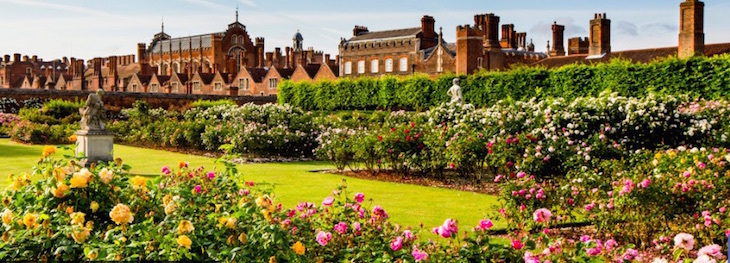 the little princess by chana mandel - Ourboox.com