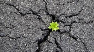 Blogger Ödevine İlişkin Görüşler- Zekiye Solak by Zekiye solak - Illustrated by Zekiye Solak - Ourboox.com