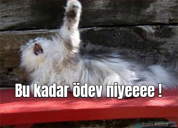 Blogger ödevine ilişkin görüşler – Sümeyra Belet by sümeyra belet - Illustrated by Sümeyra belet - Ourboox.com