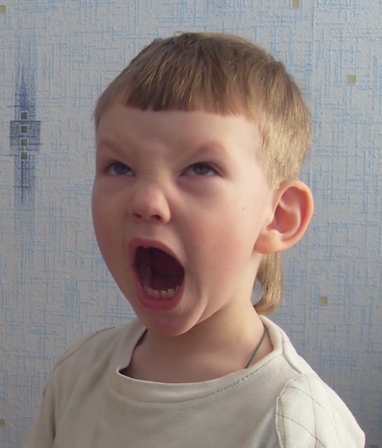 סדוגין איוון עבודת שורשים by ivansadogin - Ourboox.com