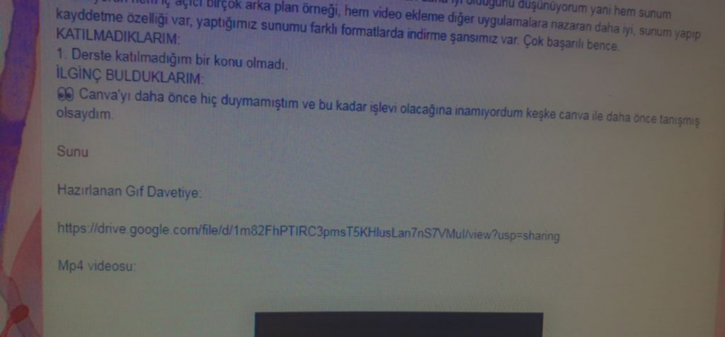 Cansu Yümün- Blogger Ödevine İlişkin Görüşler by CANSU YÜMÜN - Illustrated by Cansu Yümün - Ourboox.com