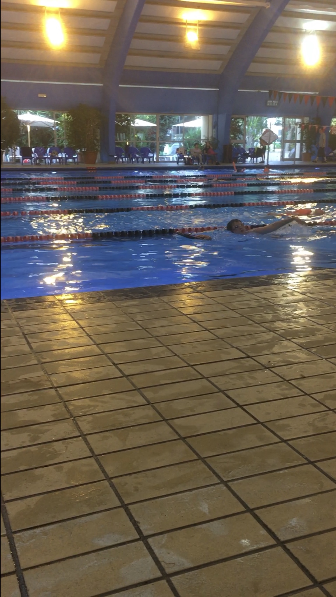 סדוגין איוון עבודת שורשים by ivansadogin - Ourboox.com