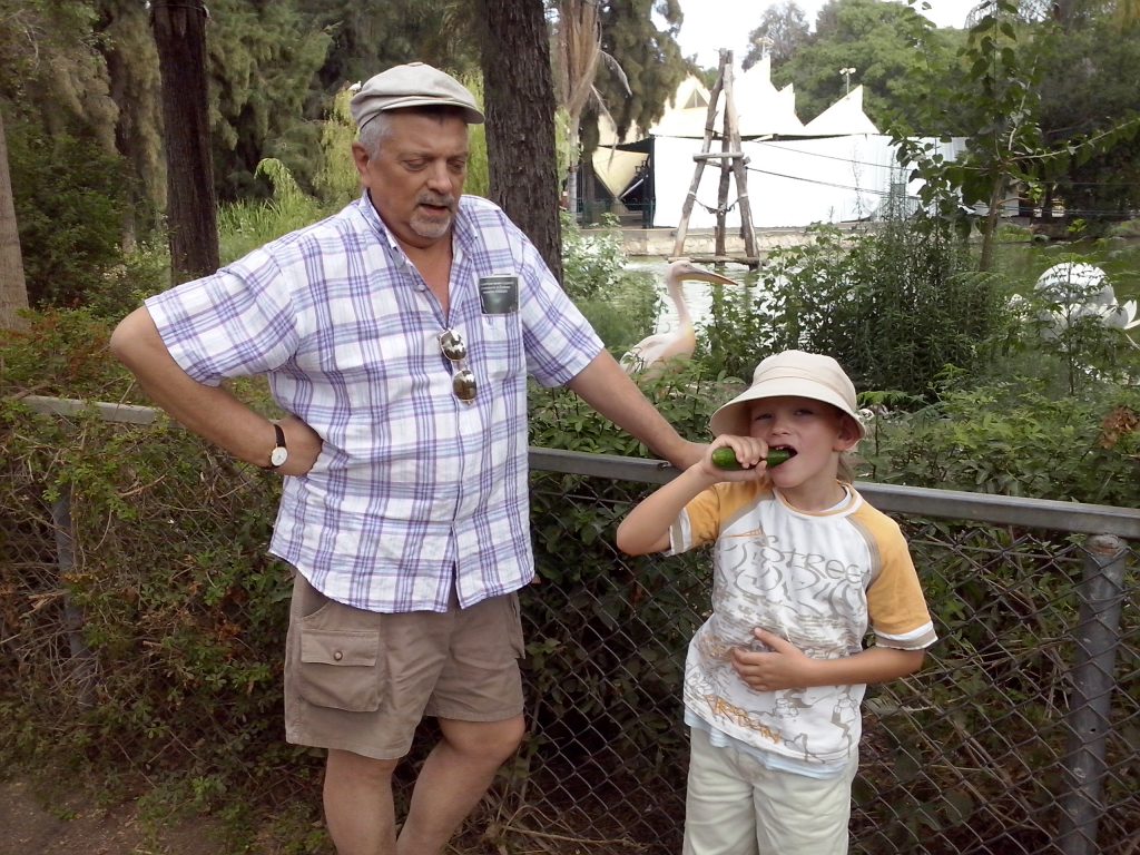 סדוגין איוון עבודת שורשים by ivansadogin - Ourboox.com