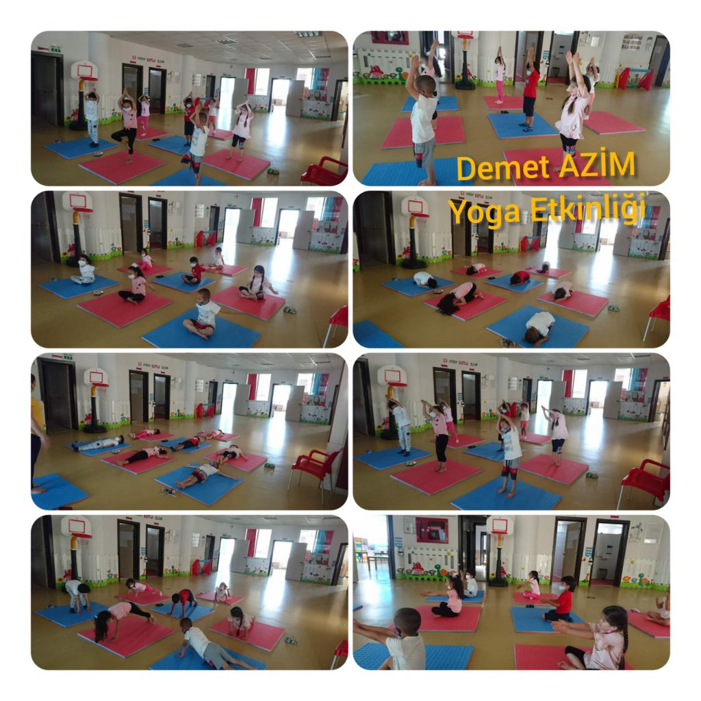 PANDEMİDE HAREKETLİYİM MUTLUYUM by Aynur ceylan ŞEHİTOĞLU - Ourboox.com