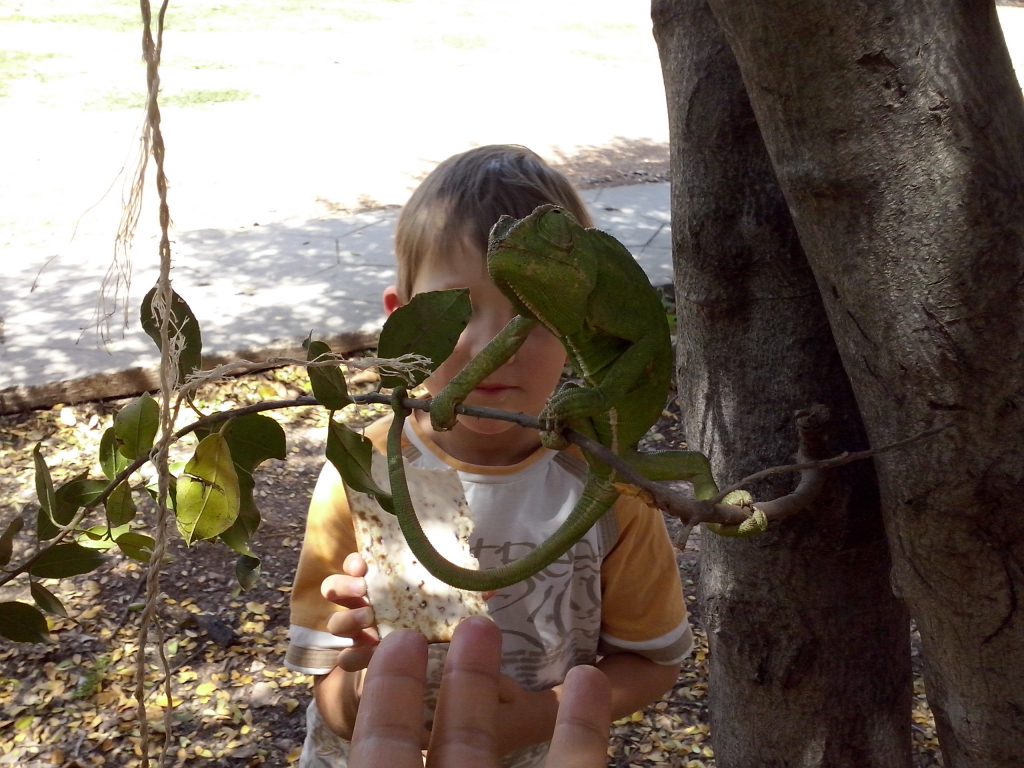 סדוגין איוון עבודת שורשים by ivansadogin - Ourboox.com