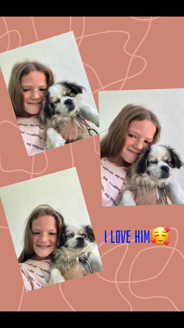 The Stars of English / Calender 2021 by Ömür Aracı - Ourboox.com