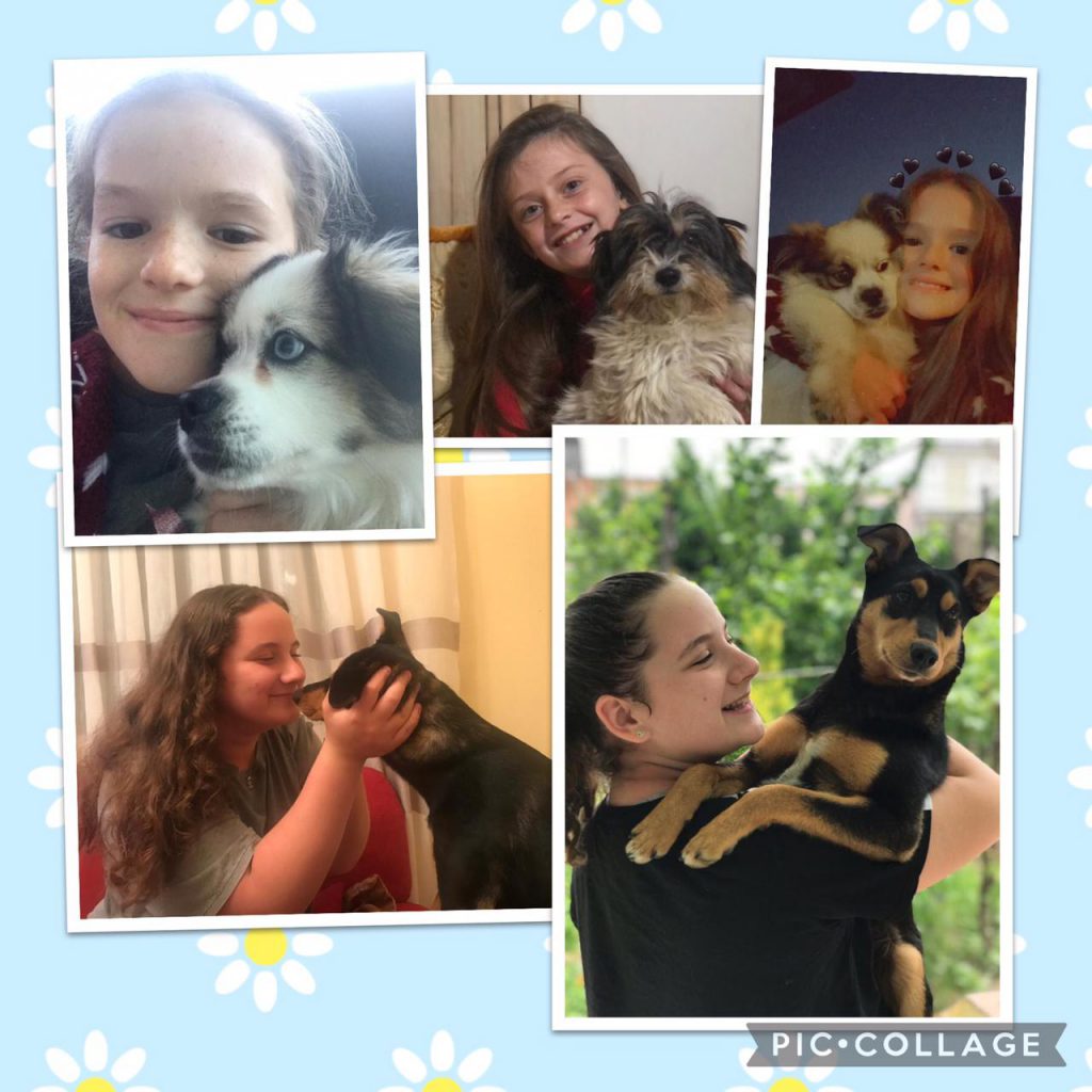 The Stars of English / Calender 2021 by Ömür Aracı - Ourboox.com