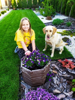 The Stars of English / Calender 2021 by Ömür Aracı - Ourboox.com