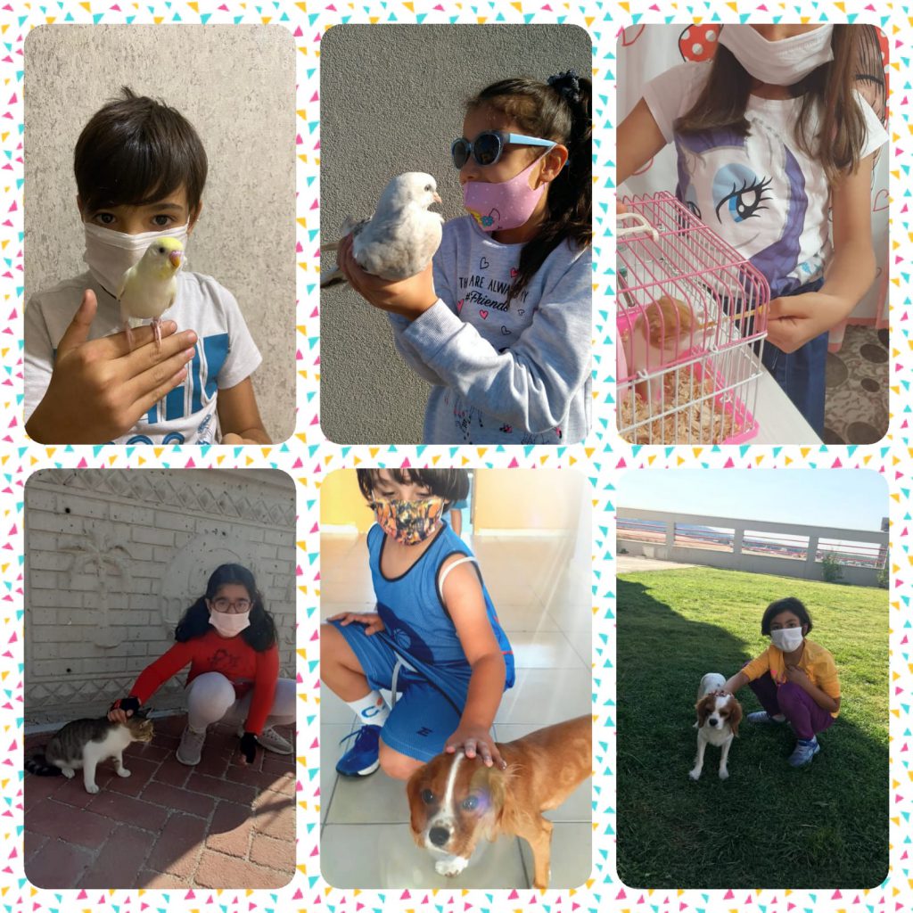 The Stars of English / Calender 2021 by Ömür Aracı - Ourboox.com