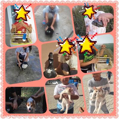 The Stars of English / Calender 2021 by Ömür Aracı - Ourboox.com