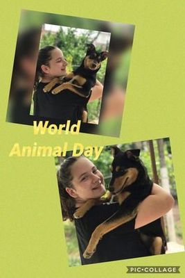 The Stars of English / Calender 2021 by Ömür Aracı - Ourboox.com