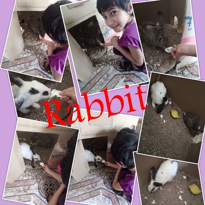 The Stars of English / Calender 2021 by Ömür Aracı - Ourboox.com