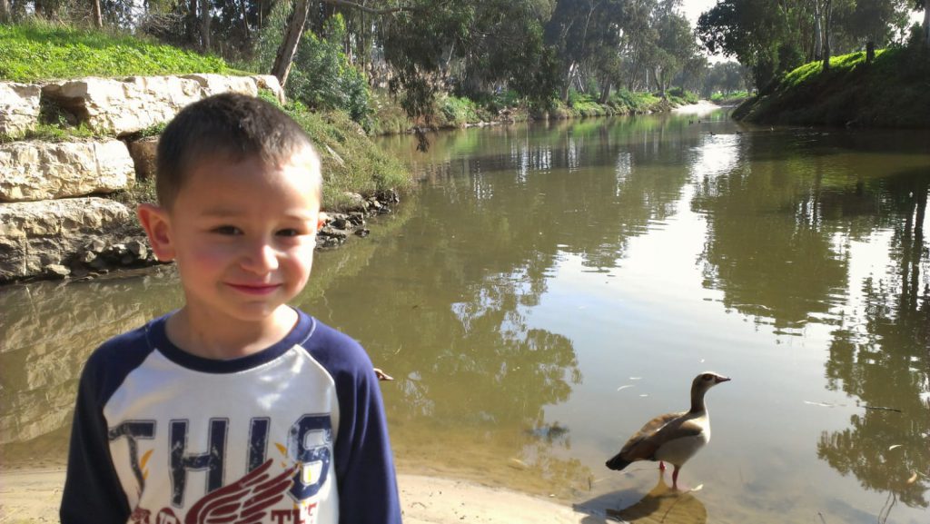 עבודת שורשים by rotem cohen - Ourboox.com