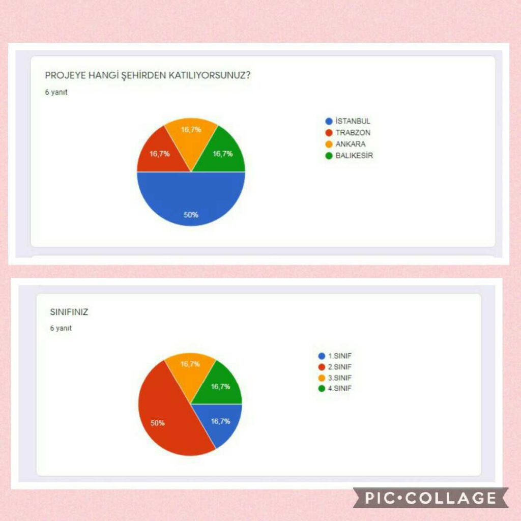 SOMUTTAN SOYUTA PİCASSO’DAN ÇOCUĞA PROJESİ ÖĞRETMEN ÖN ANKET DEĞERLENDİRME RAPORU by SUNA - Illustrated by Öğretmen Ön Test Anket Değerlendirme Raporu - Ourboox.com
