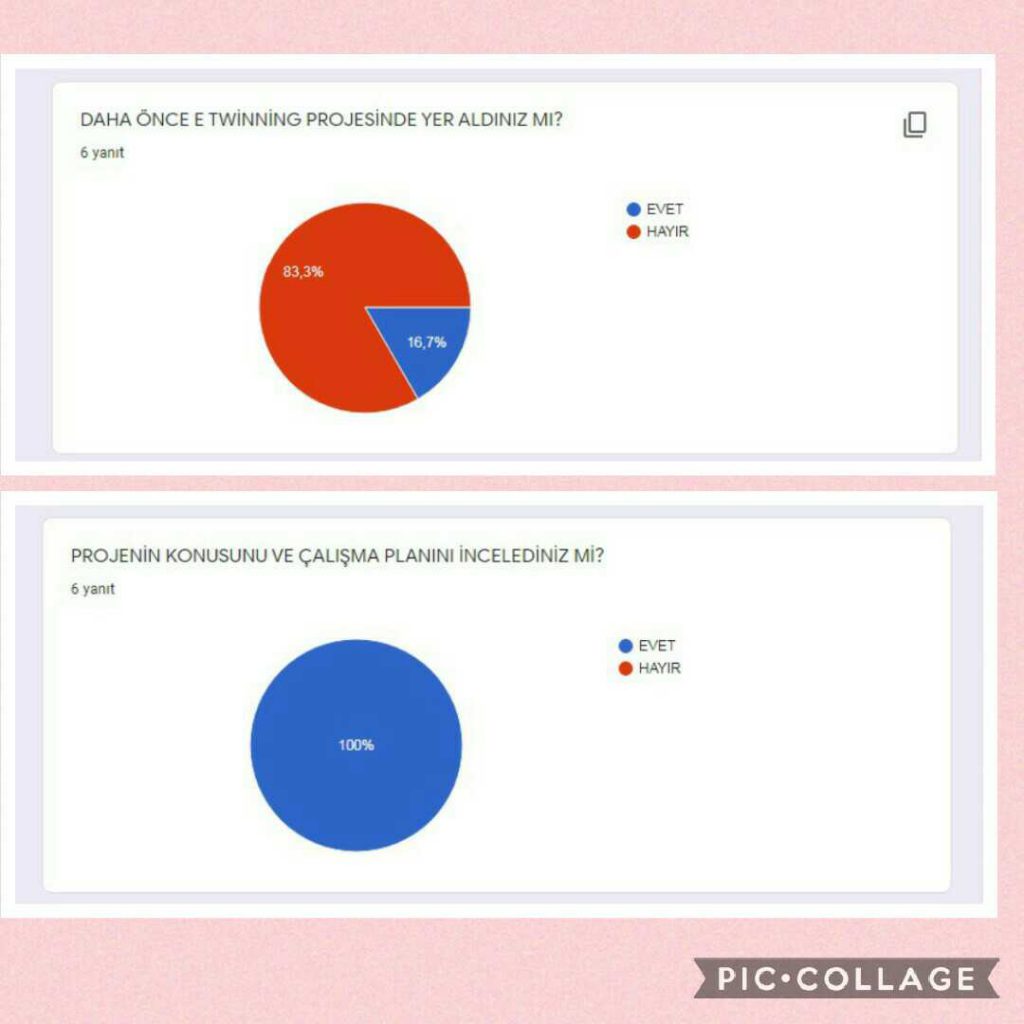 SOMUTTAN SOYUTA PİCASSO’DAN ÇOCUĞA PROJESİ ÖĞRETMEN ÖN ANKET DEĞERLENDİRME RAPORU by SUNA - Illustrated by Öğretmen Ön Test Anket Değerlendirme Raporu - Ourboox.com