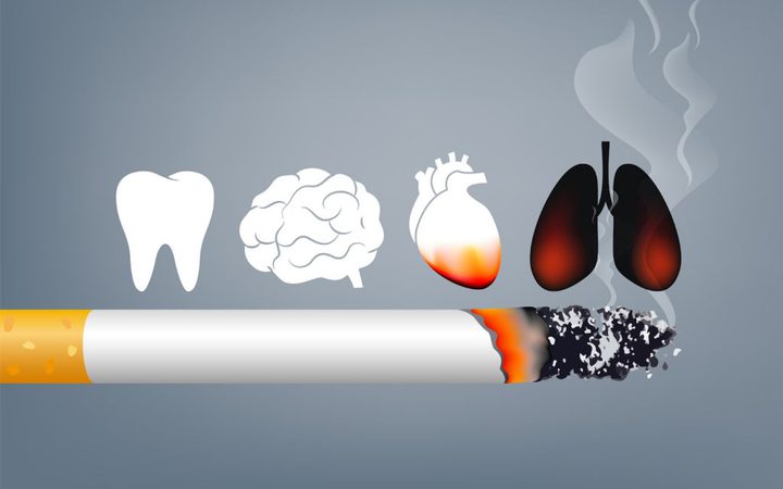 صحتي والتدخين by ghazal - Ourboox.com