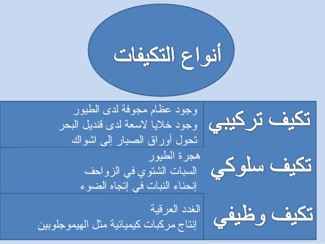 البيئة الحياتية by Haya alyan - Ourboox.com