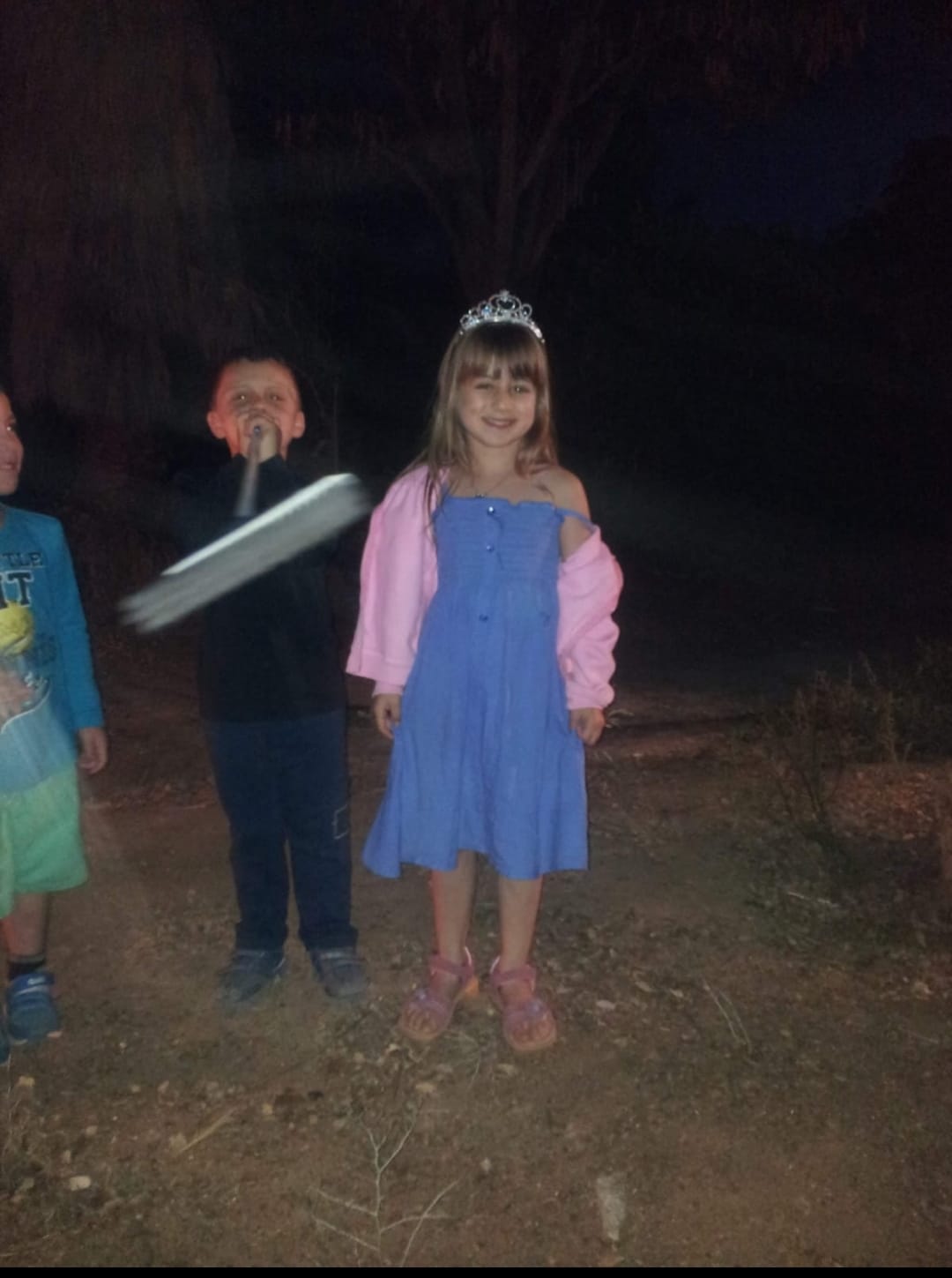 עבודת שורשים של שקד וינוגרד by shaked - Ourboox.com