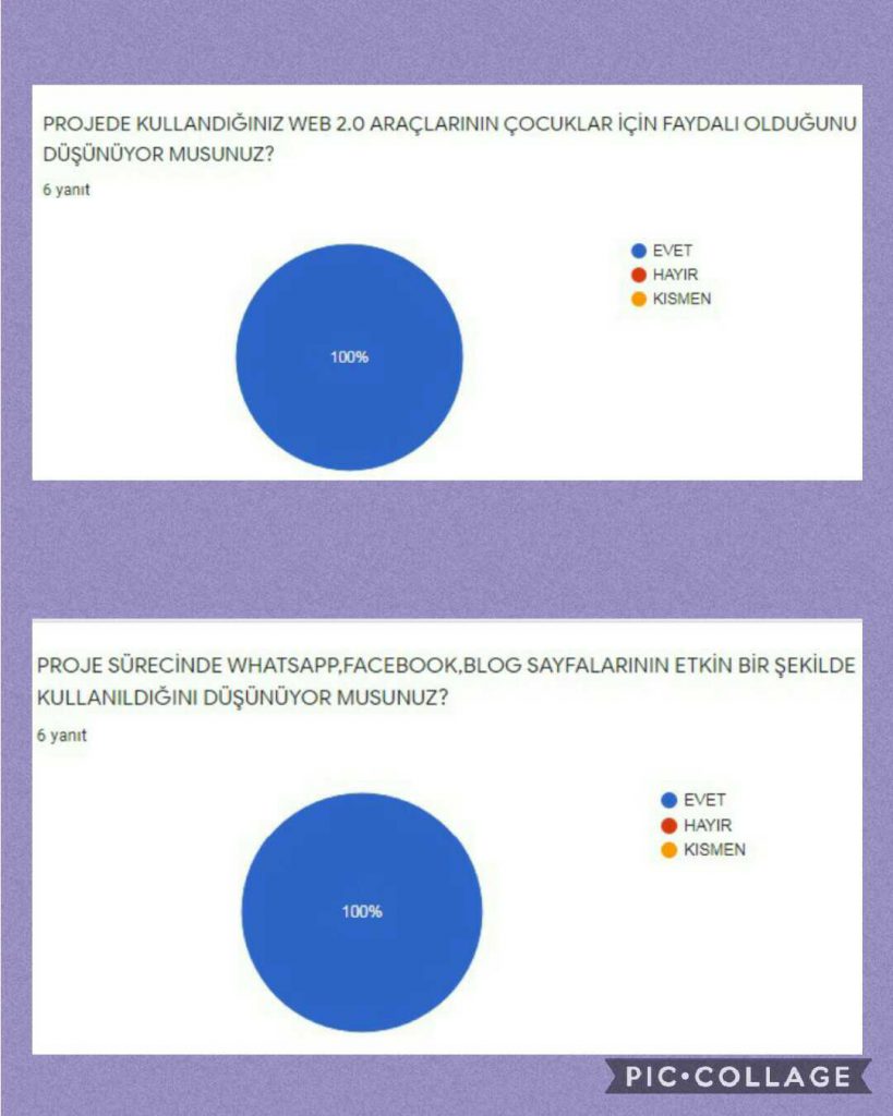 ÖĞRETMEN PROJE SONU ANKET DEĞERLENDİRME RAPORU by SUNA - Illustrated by ÖĞRETMEN PROJE SONU ANKET DEĞERLENDİRME RAPORU - Ourboox.com