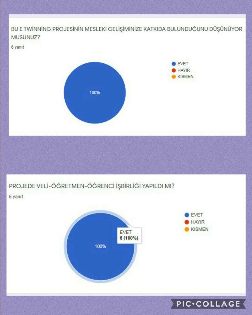 ÖĞRETMEN PROJE SONU ANKET DEĞERLENDİRME RAPORU by SUNA - Illustrated by ÖĞRETMEN PROJE SONU ANKET DEĞERLENDİRME RAPORU - Ourboox.com
