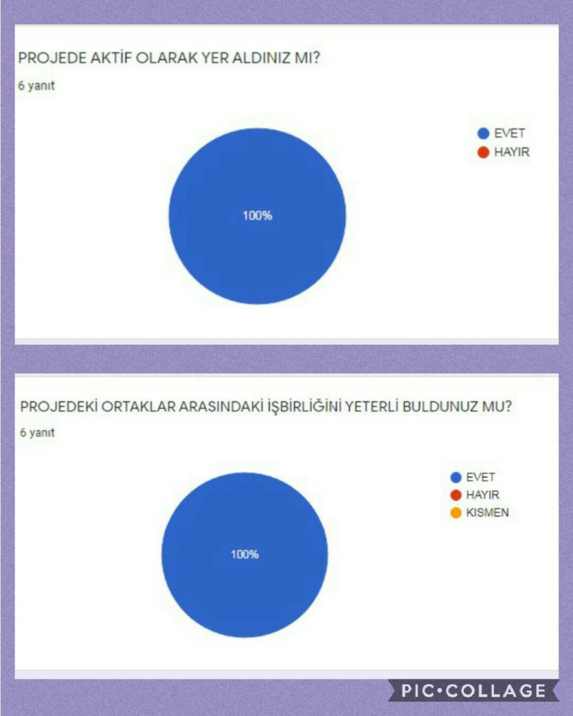 ÖĞRETMEN PROJE SONU ANKET DEĞERLENDİRME RAPORU by SUNA - Illustrated by ÖĞRETMEN PROJE SONU ANKET DEĞERLENDİRME RAPORU - Ourboox.com