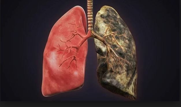 LA TUA SALUTE È IMPORTANTE by Laura - Ourboox.com