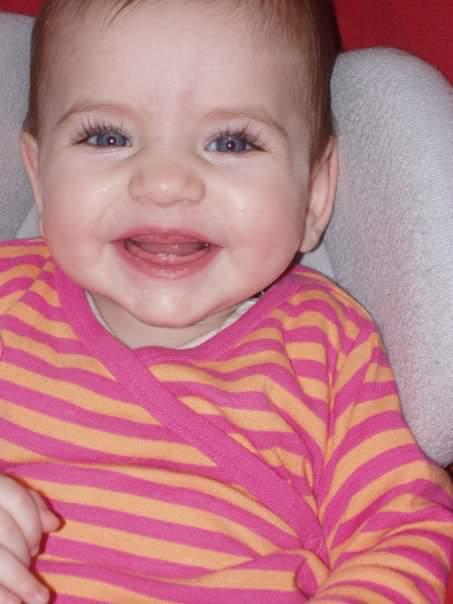 עבודת שורשים-גיא שטרנברג by guy - Ourboox.com