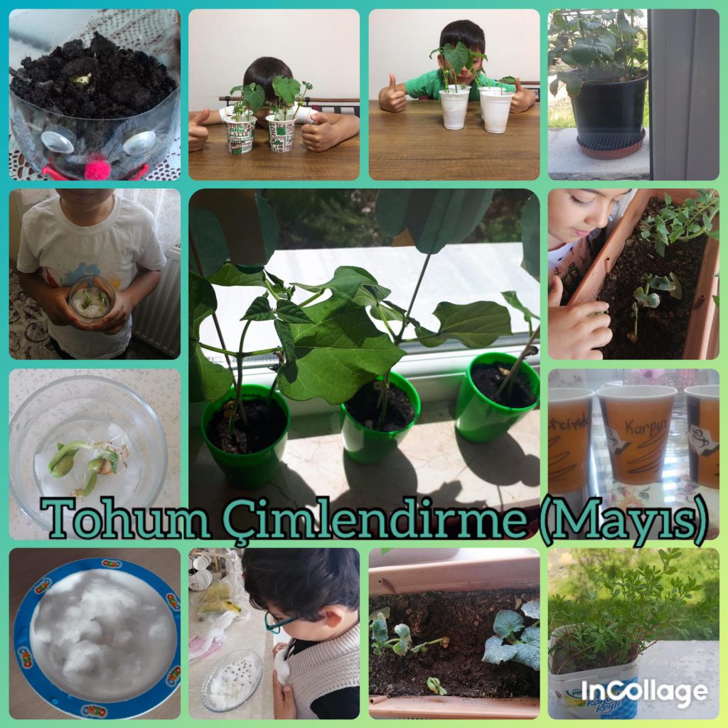 MAYIS AYI ATÖLYE ÇALIŞMALARI by Elif GÜMÜŞKAYA - Ourboox.com