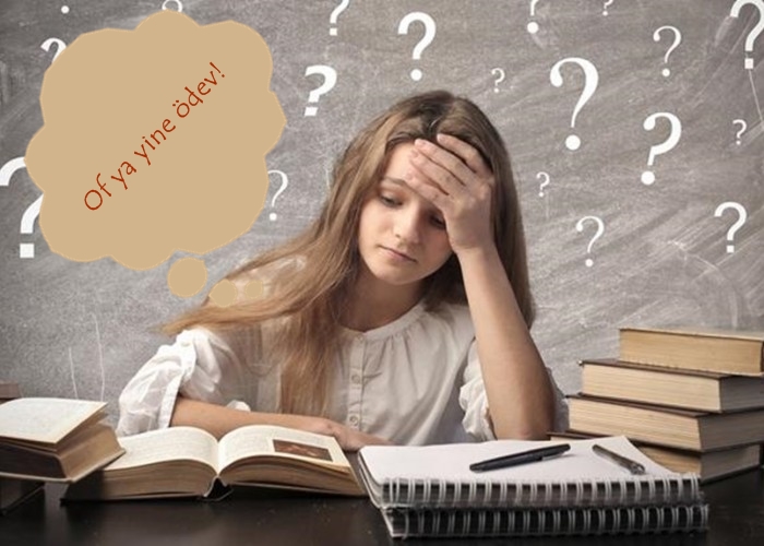 Melike Bozdoğan – Blogger Ödevine İlişkin Görüşler by Melike Bozdoğan - Illustrated by Melike Bozdoğan - Ourboox.com