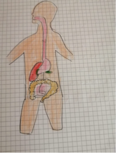 EDUCAZIONE ALIMENTARE by marilisa grillo - Illustrated by Marilisa Muchacia - Ourboox.com