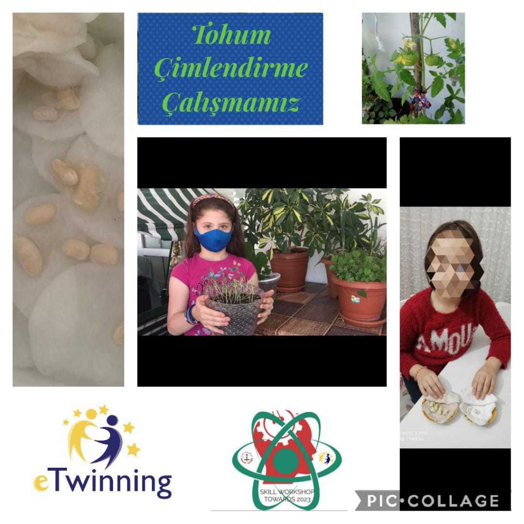 MAYIS AYI ATÖLYE ÇALIŞMALARI by Elif GÜMÜŞKAYA - Ourboox.com